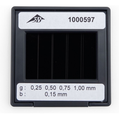 1000597 dia dubbele spleet